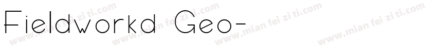 Fieldworkd Geo字体转换